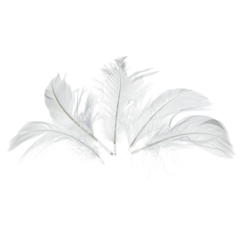 Перья декоративные натуральное перо цв. белый, 10 г 100-110 шт.  EFCO 1004201														