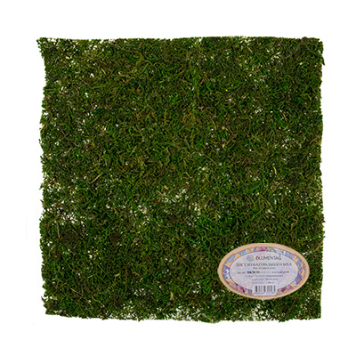 Мох натуральный лист 30*30см, зеленый  Blumbentag BKM-30														