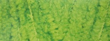 Пряжа "SOFTY BABY" 551 зеленый неон 551 5*50 г. 115м 100% микрополиэстер  ALIZE