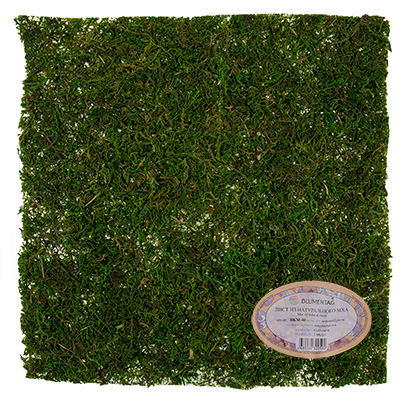 Мох натуральный лист 40*40см, зеленый  Blumbentag BKM-40														