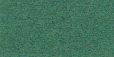 Бумага цветная А2  1цв.  1л. цв. 58 т. зеленый двухсторонняя 42,5*60см 300г/м2  VISTA-ARTISTA ТКО-А2/58														